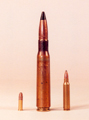 50 Balibur BMG
