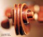 Stradivarius Scroll