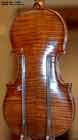 Stradivarius Back