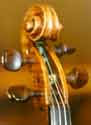 Stradivarius Scroll