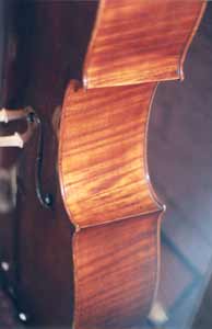 Servais Cello Ribs