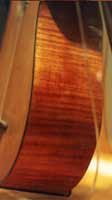 Stradivari Guitar Rib