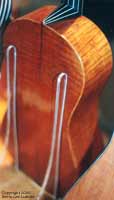 Stradivari Guitar Back