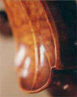 Stradivarius Heel of Scroll